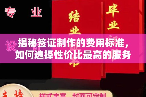 青山揭秘签证制作的费用标准，如何选择性价比最高的服务？