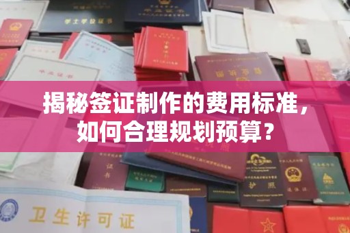 青山揭秘签证制作的费用标准，如何合理规划预算？