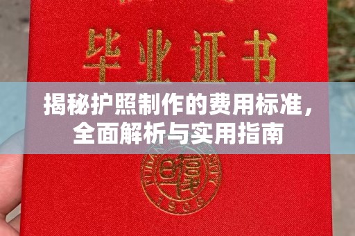 青山揭秘护照制作的费用标准，全面解析与实用指南