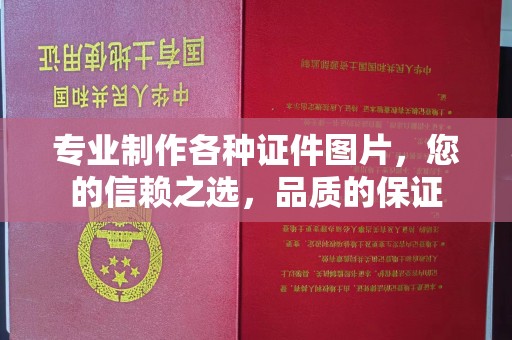 青山专业制作各种证件图片，您的信赖之选，品质的保证