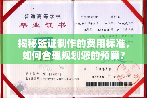 青山揭秘签证制作的费用标准，如何合理规划您的预算？