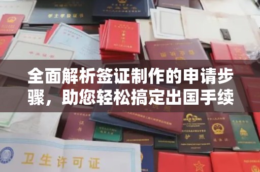 青山全面解析签证制作的申请步骤，助您轻松搞定出国手续